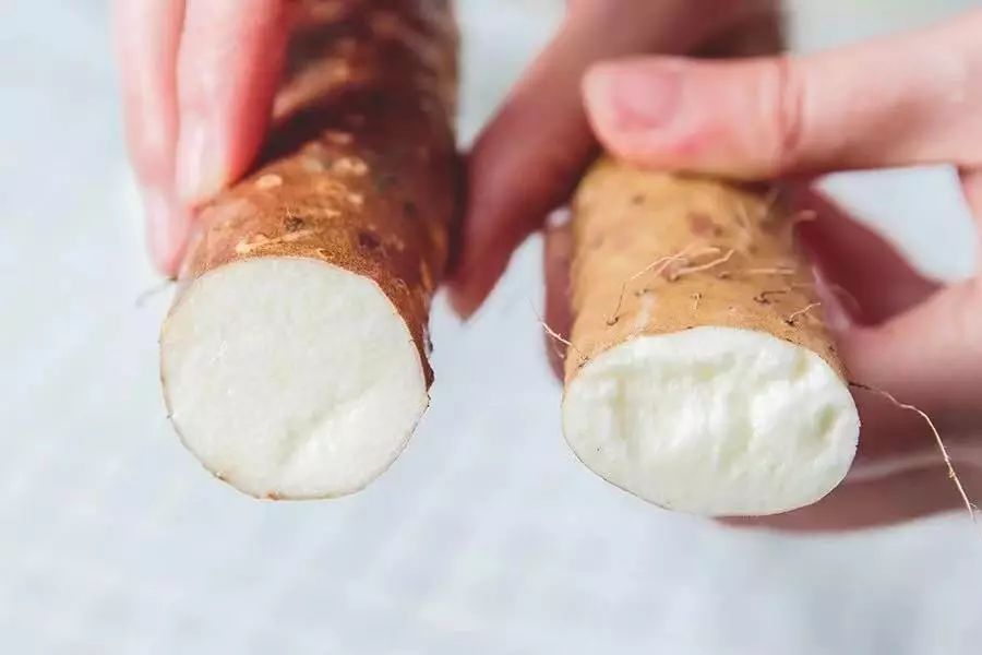 鍚冨畠,鍚冨畠鍚冨畠