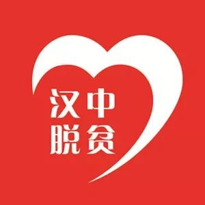 陕西省勉县扶贫政策,勉县消费水平高