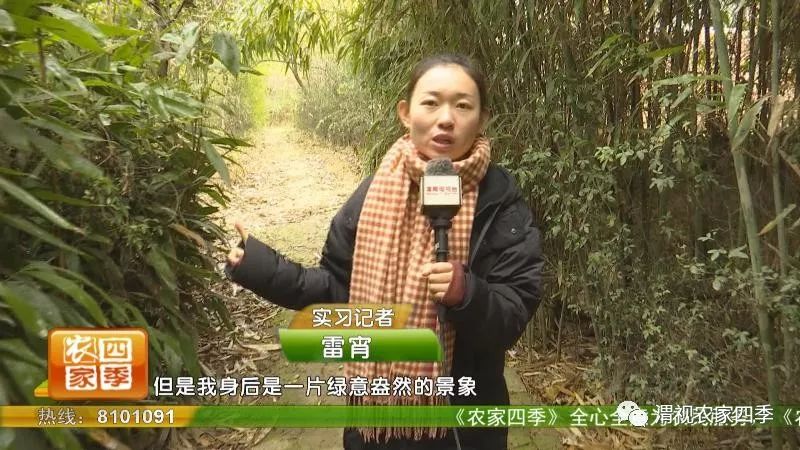 孙堡村的来历,孙堡村简介