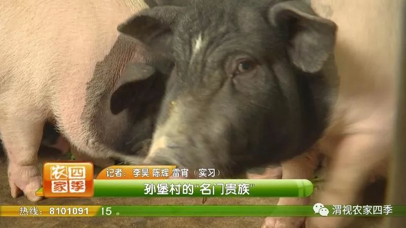 孙堡村的来历,孙堡村简介