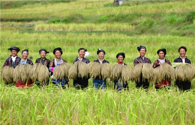 八桂大地起春潮——以习*平近**同志为核心的*党**中央关心广西发展纪实