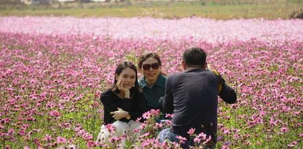 导游应该知道的一些故事,导游是怎么知道每个景点路线的