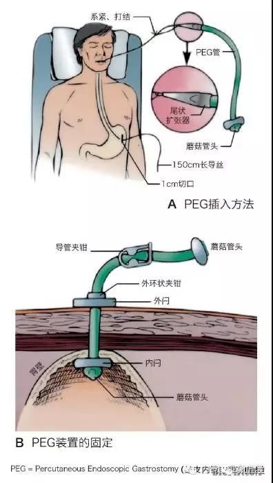 不能用嘴嚼直接吞的食物,不能用嘴喂宝宝吃饭