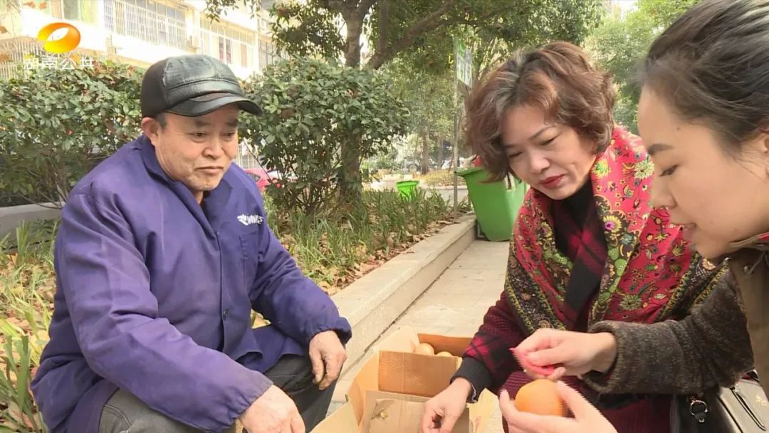 麻阳冰糖橙老人,怀化老人卖橙子