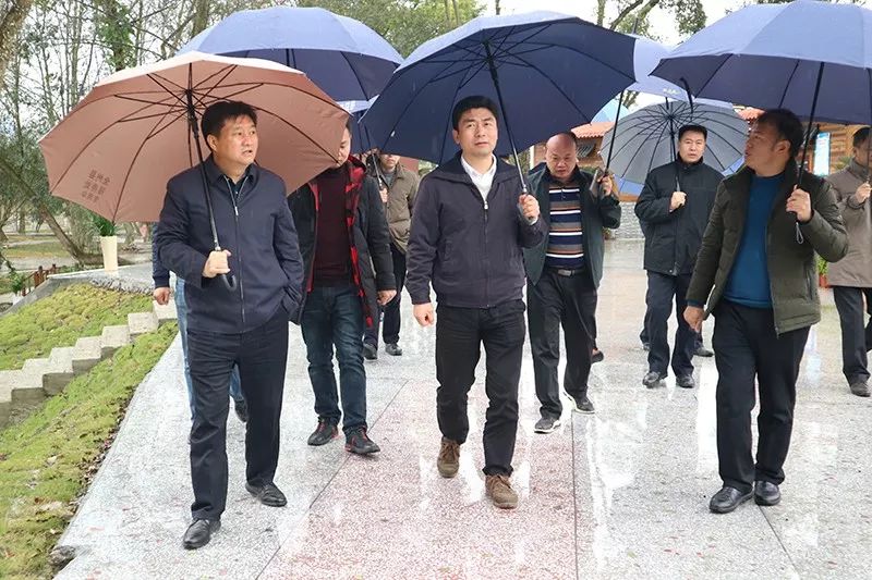 玉林市白松涛调研活动,白松涛访谈