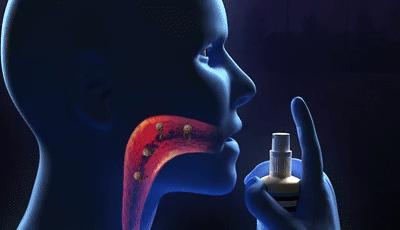 瑞士国宝大全,瑞士国宝