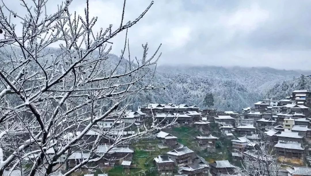 鐪熺浉澶х櫧涔嬪墠璋庤█鍙細闆笂鍔犻湝,鑽墿娴佷骇楠楀眬鎬庝箞瑙ｅ喅