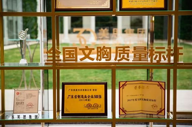 会员动态丨砥砺三十·匠心致远，广东美思集团辉煌30周年庆典盛大举办！