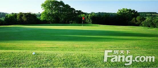 这个楼盘凭什么成为爆款,这个楼盘为何如此佛系