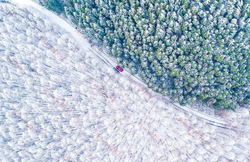 南川当地特色,南川的特点