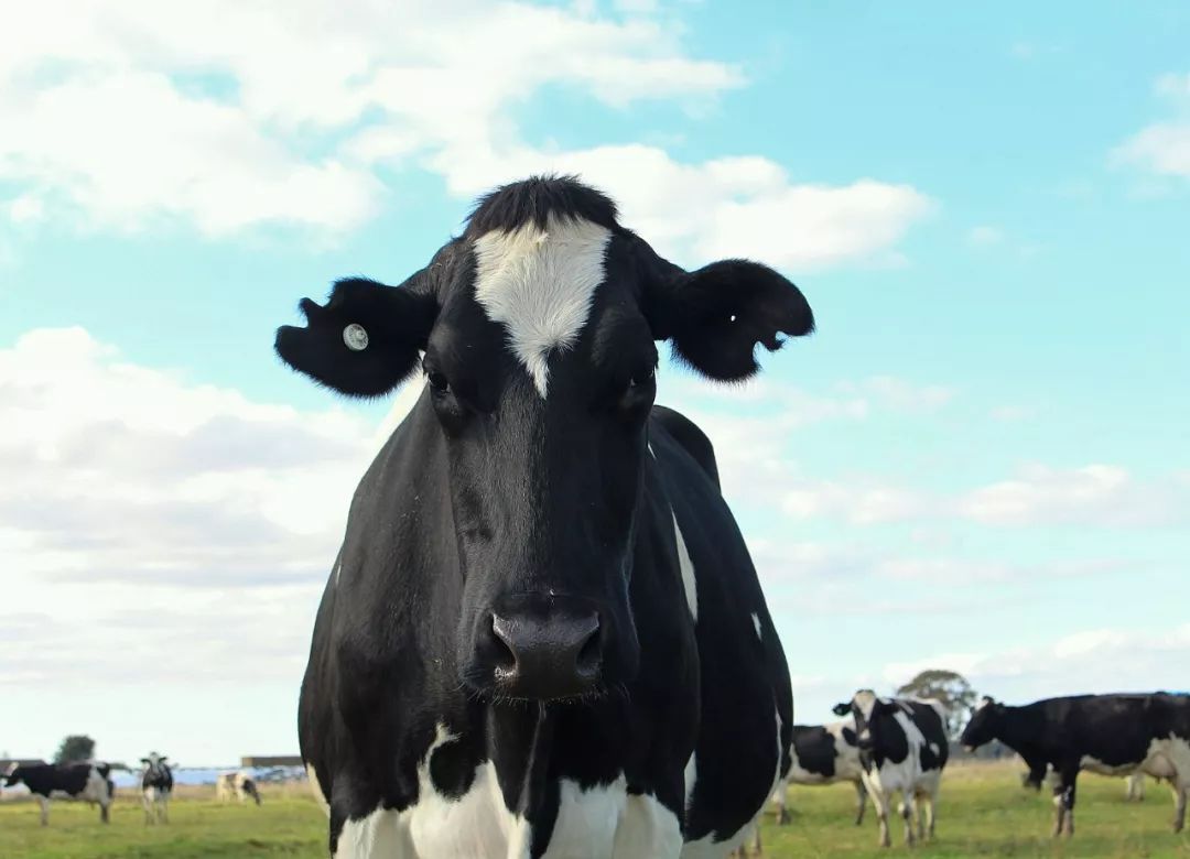 一条生活馆产品,一条生活馆成都店