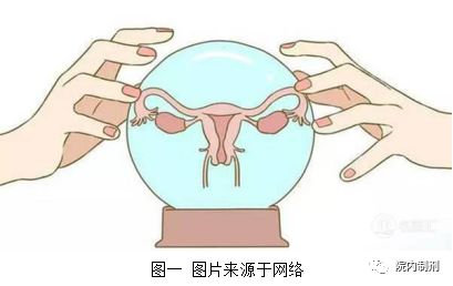 院内制剂｜多卵巢综合症，女性怀孕的拦路虎！这款院内制剂来帮您