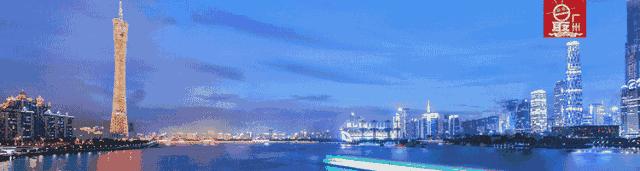 香港网红药有假吗,香港药品假货