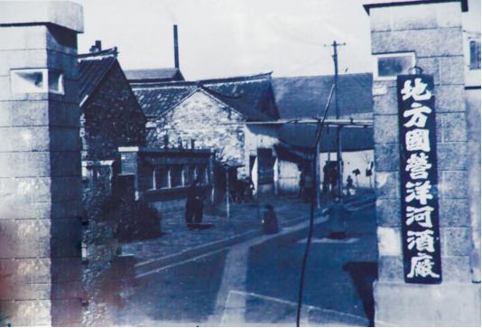 洋河的发展现状,洋河发展历程