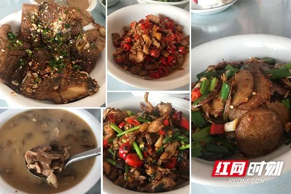 素素探美食,素素探店吃喝