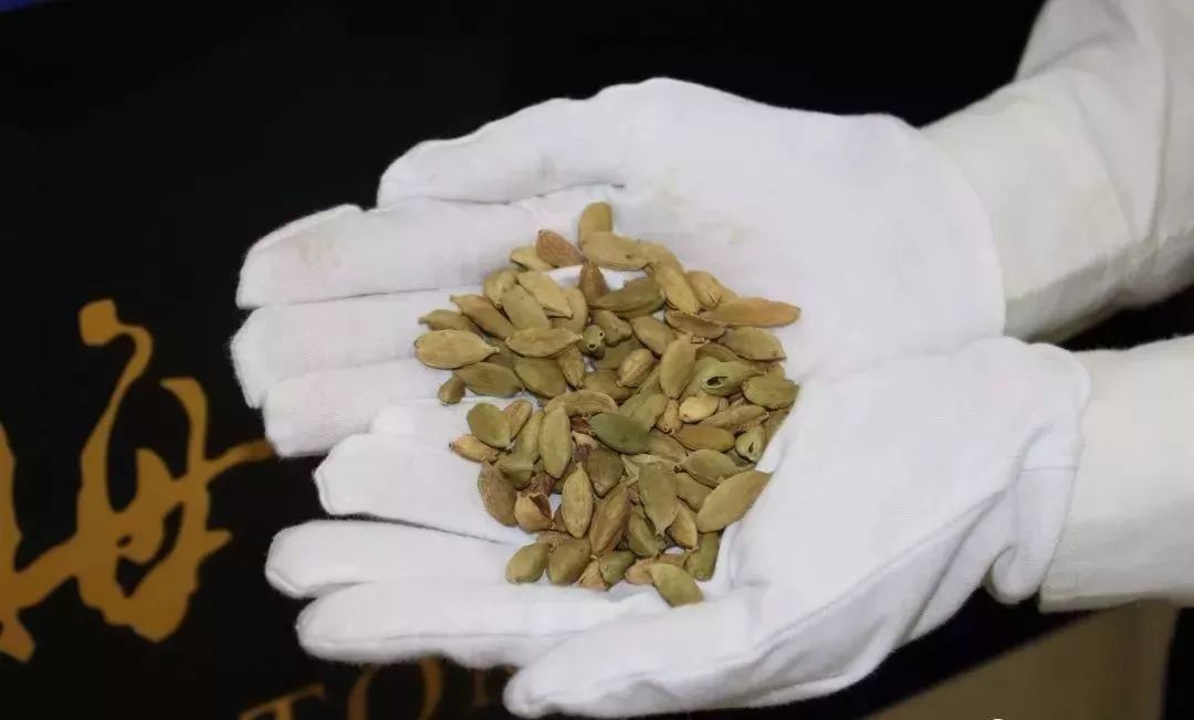 去港澳过关可以带食品吗,去东莞需要带哪些必备品