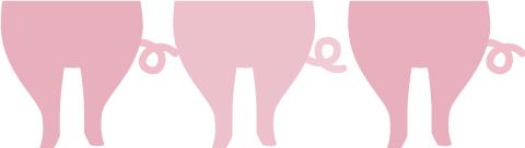 云南火腿分布图,云南火腿室内图片