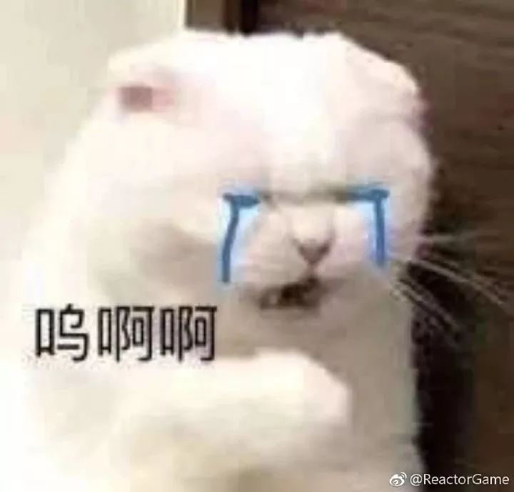 房子租给一对年轻人开门后续,房东将房子租给了一对小夫妻