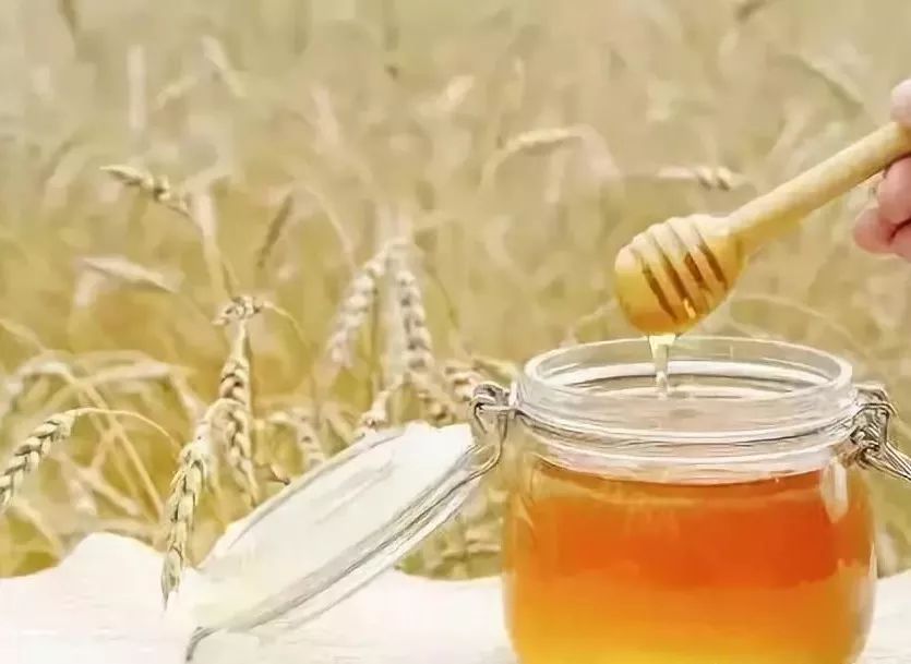 老胃病胃溃疡怎么治疗,胃溃疡胃部位有硬块还痛