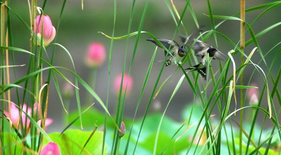 他做了15年自然测量员，只为得到更好的荒野