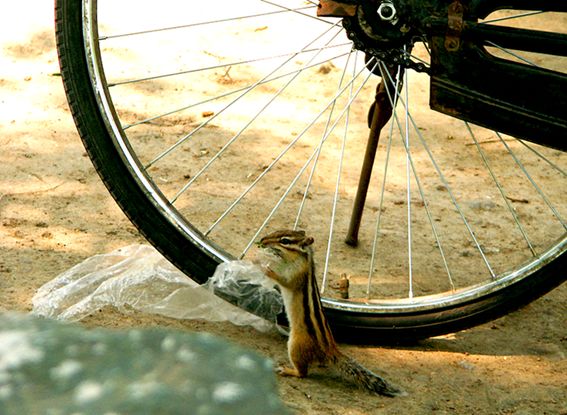 他做了15年自然测量员，只为得到更好的荒野