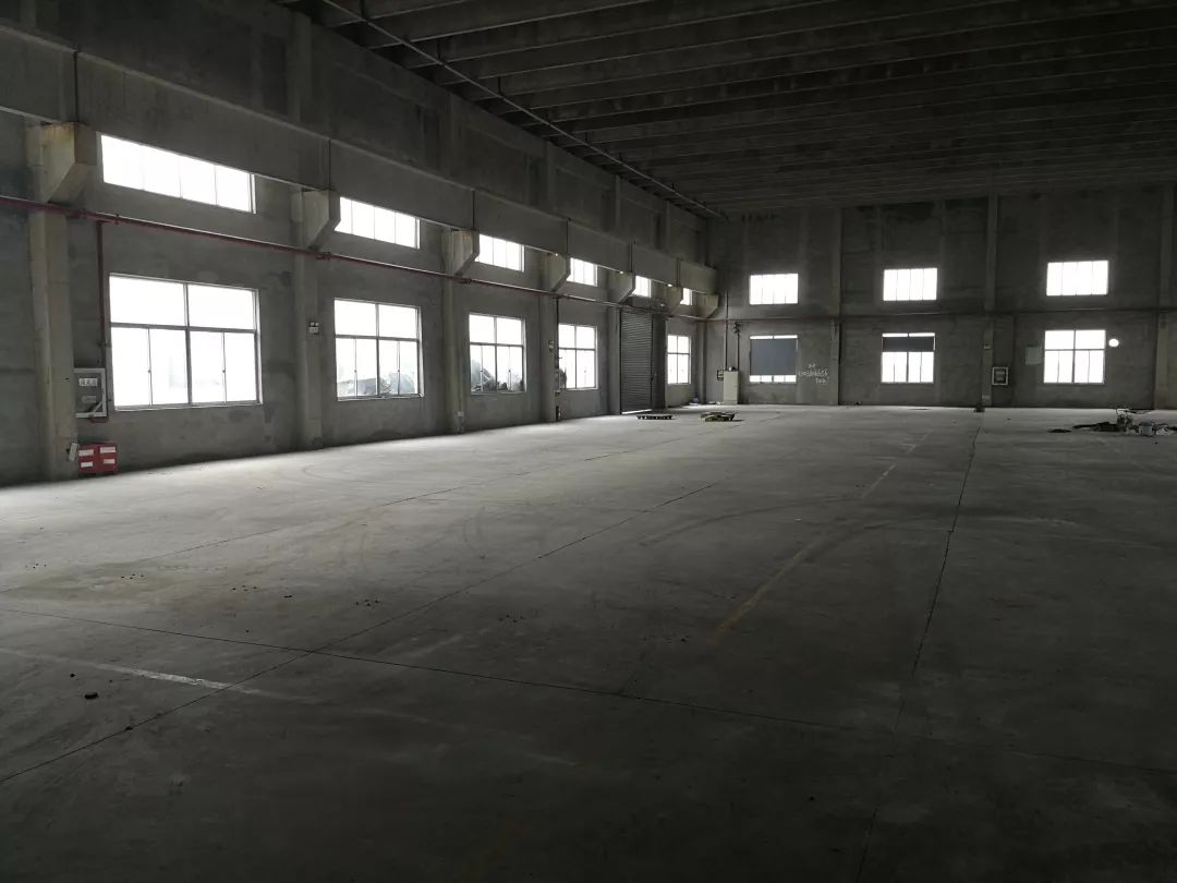 双月攻坚专项行动,每周时政播报