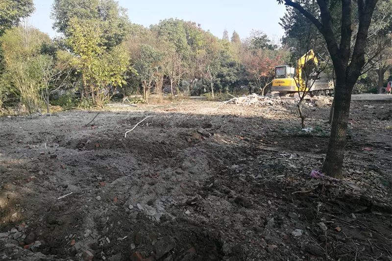 双月攻坚专项行动,每周时政播报