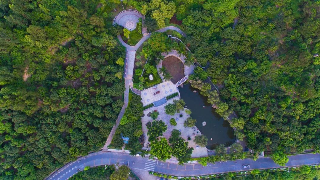 这就是新桥,这里是新桥小学