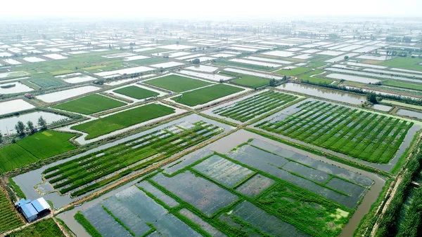 湖北稳增长133项措施,荆州洪湖2019年上半年gdp