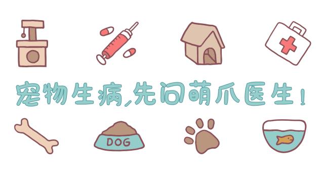 踩到猫要给它道歉吗,踩到猫了会得狂犬病吗