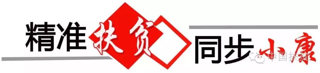 国家对乡村产业发展政策,国务院乡村产业发展规划