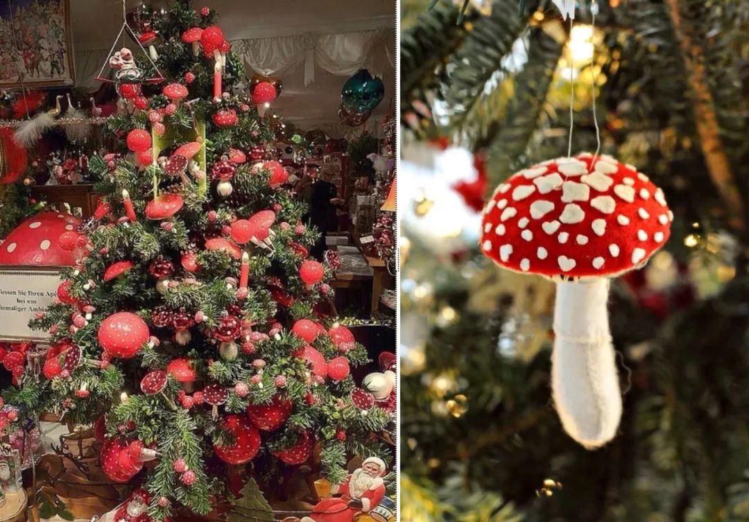 圣诞老人的恐怖故事,圣诞老人得艾滋病故事