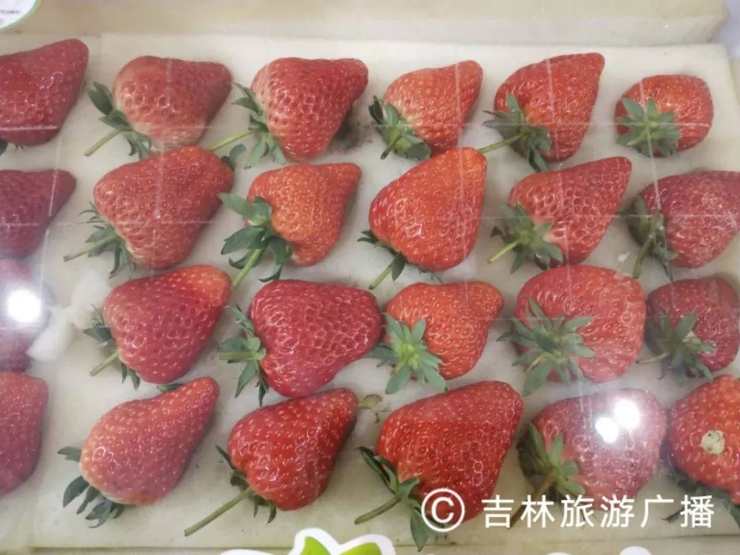 「最全」快约起来!雪博会“扫馆”攻略,请收好这份购物宝典!