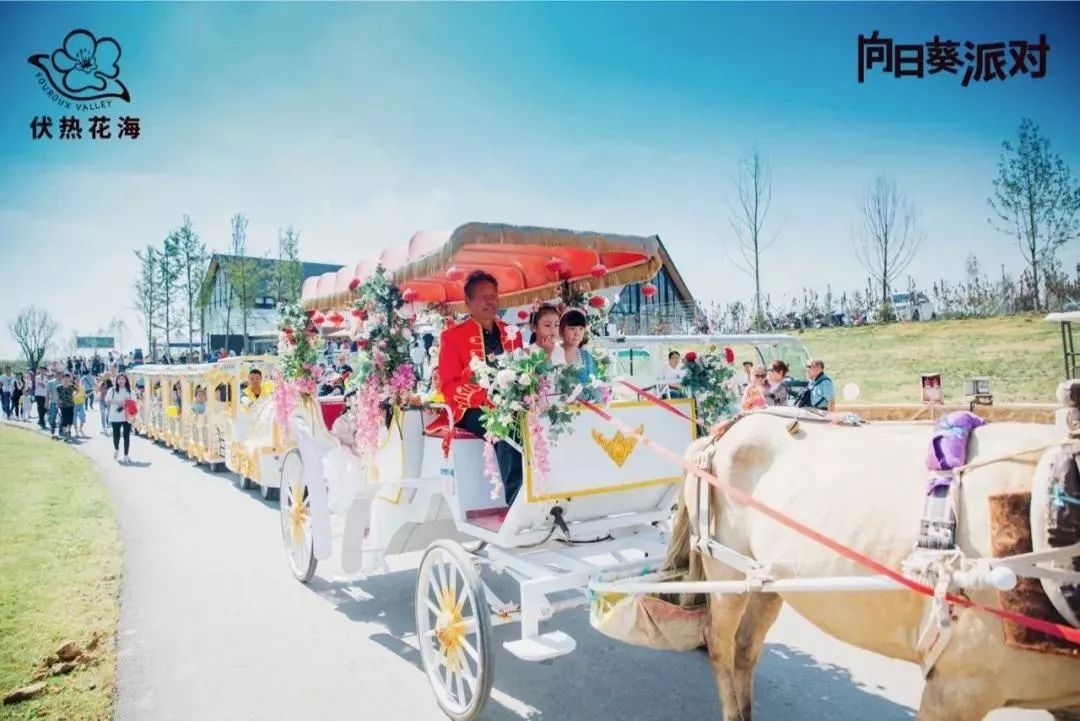 你还不知道乡村旅游吗,你还不知道哪些地方好玩