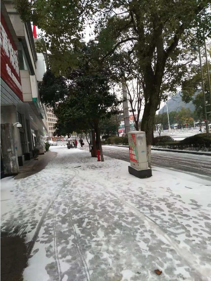 团｜《艾特熊和赛娜鼠》屡获国际大奖的温暖绘本+艺术儿童启蒙日历，爸爸陪娃的神器+用44只东北大白鹅，才攒出1床的鹅绒被