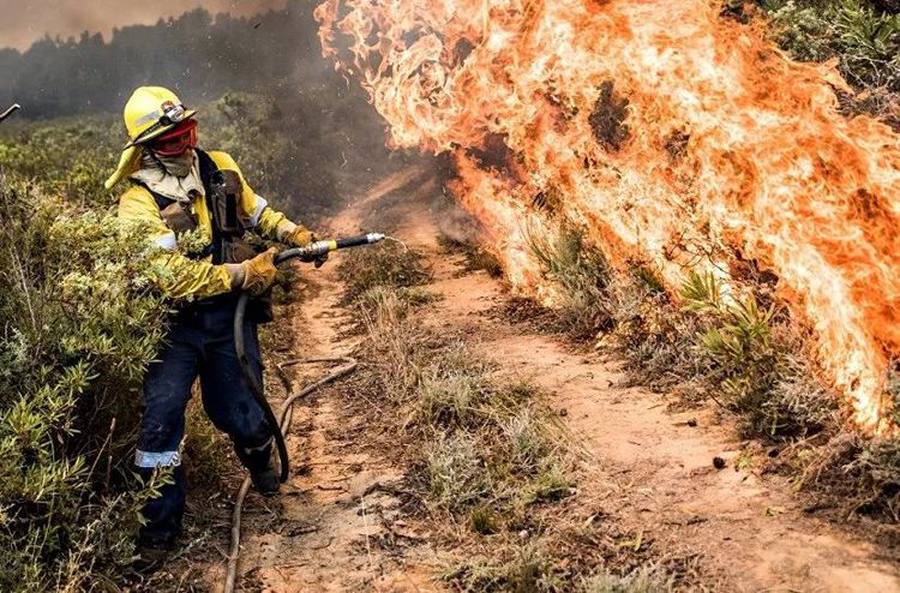 2018melonmusicawards颁奖典礼,2020国际摄影大赛露茜奖获奖名单