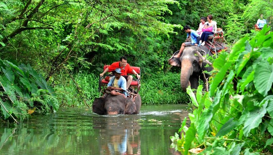 就因为不懂这些，他们在泰国被人妖打的头破血流