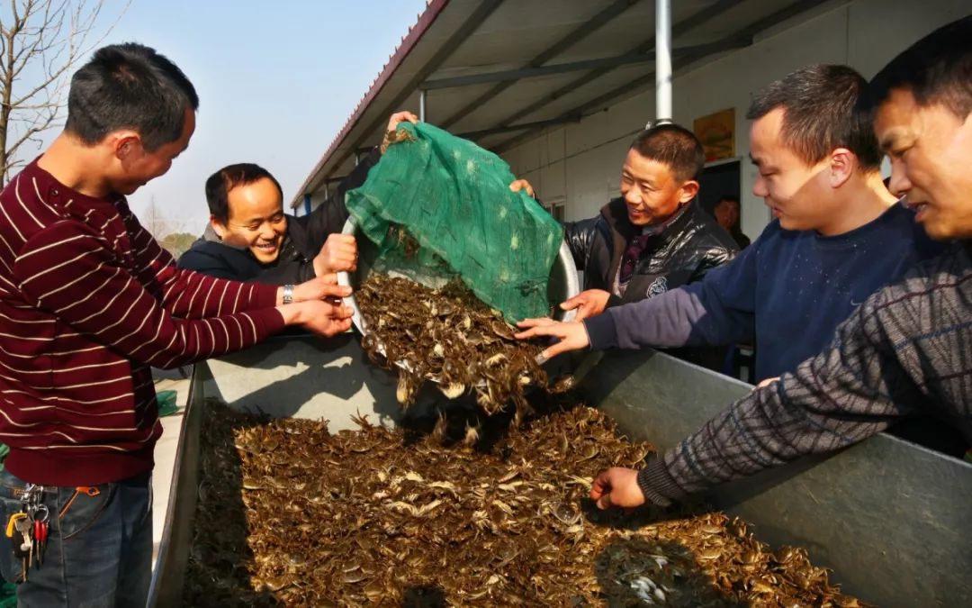 马鞍山当涂为什么富裕,马鞍山为什么越来越好