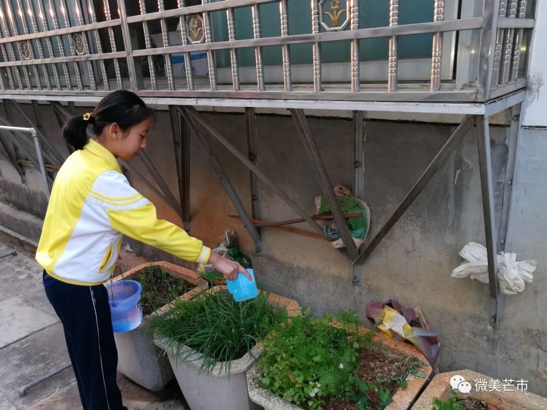 最美芒市人｜德宏州新时代好少年李烨王清