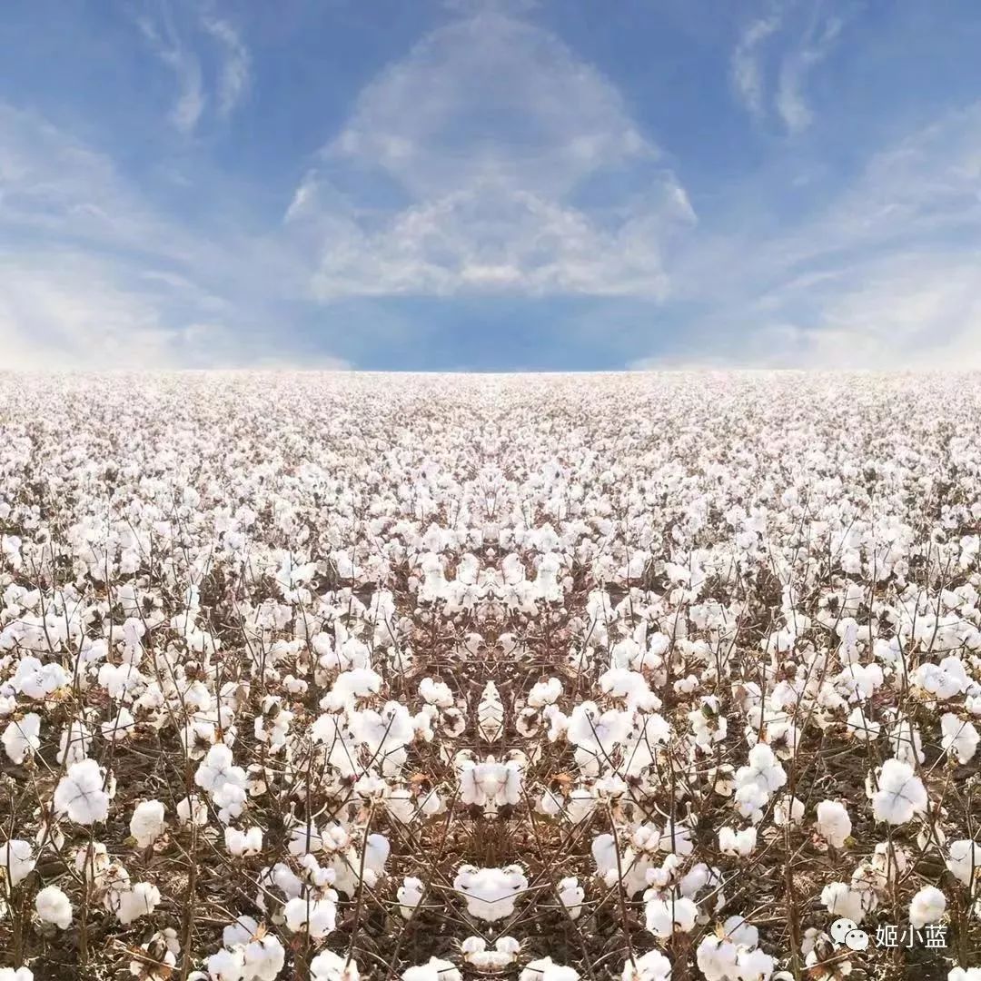 清华理工男放弃体制内，改做卫生巾？