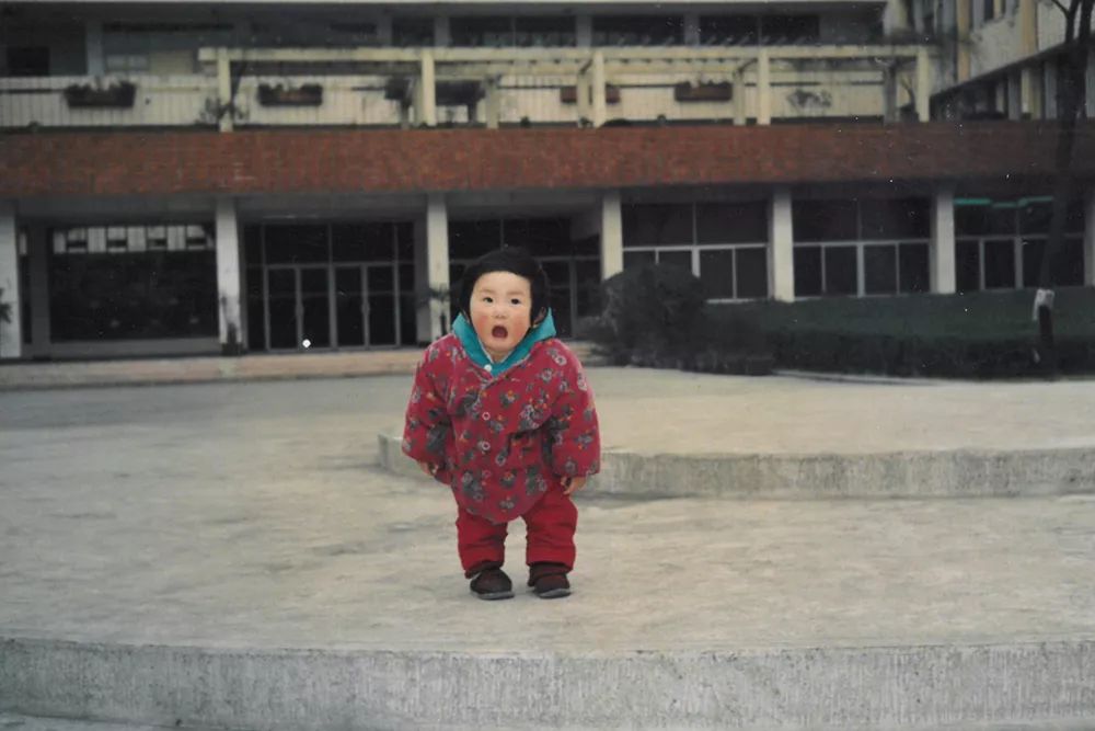 我家的历史,我家的故事摘录