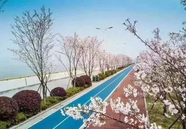 绿色宜居幸福城市典范,绿色宜居