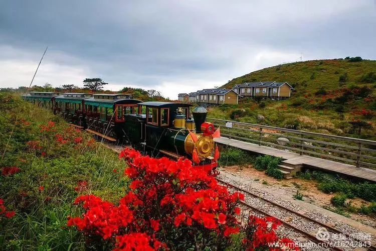 福建树屋酒店推荐,福建特色树屋民宿度假屋特点