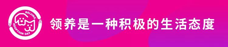 高萌来袭!真小奶猫小奶狗!|毛孩子的童年有多奶?