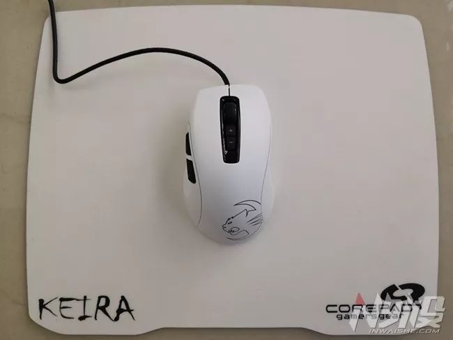 白冰豹子,黑冰和白冰视频