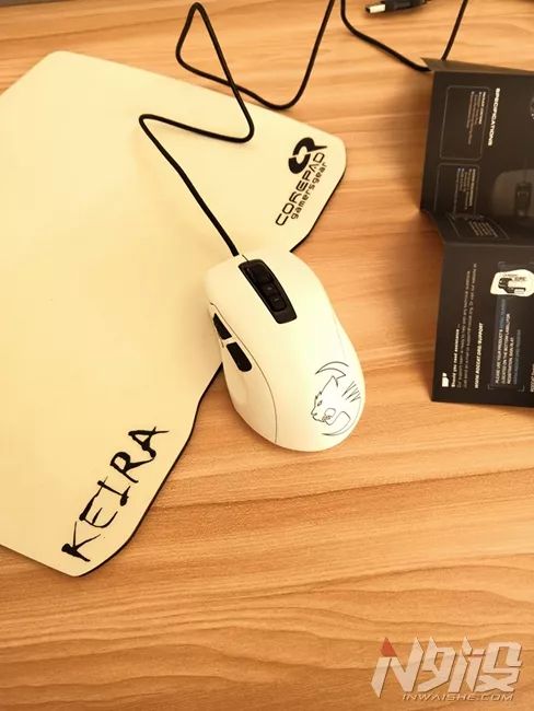 白冰豹子,黑冰和白冰视频