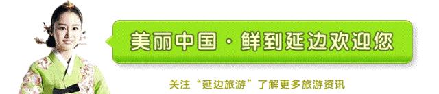 全国导游资格证2023视频,2017国家导游证报名