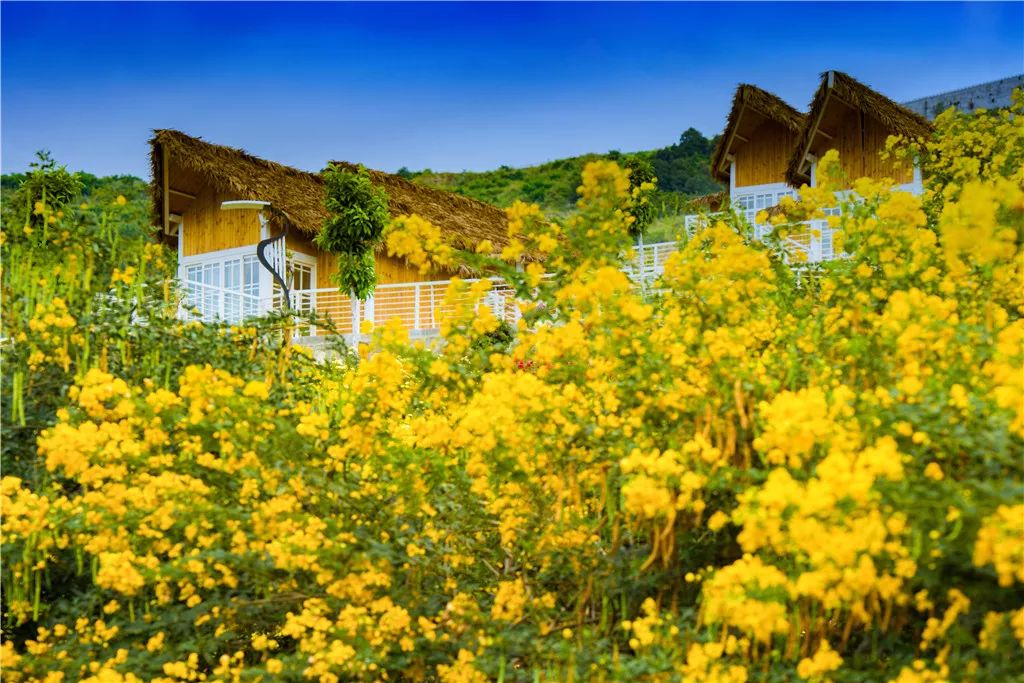 攀枝花旅游攻略自由行最佳路线 (自驾去攀枝花可以经过什么风景区)