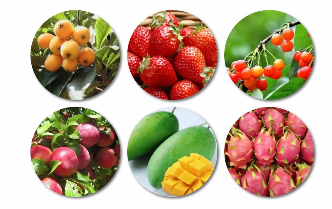 攀枝花旅游攻略自由行最佳路线 (自驾去攀枝花可以经过什么风景区)