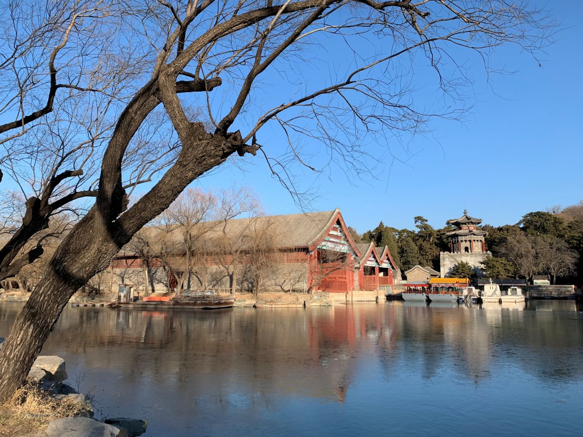 苹果xr主要是哪个摄像头拍照,苹果xr到苹果15前后置摄像头